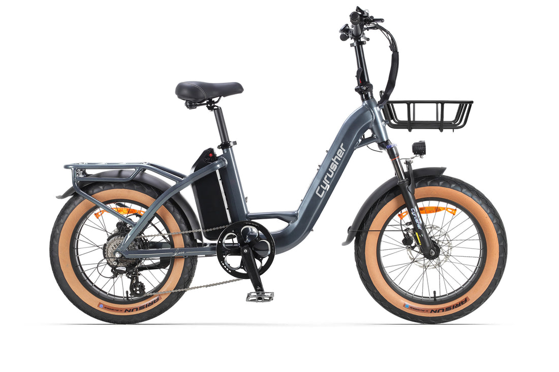 Luxe Pendler-E-Bike