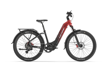 Path Pendler-E-Bike